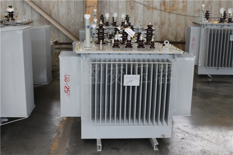 阿克苏S20-800kVA/10kV/0.4kV变压器